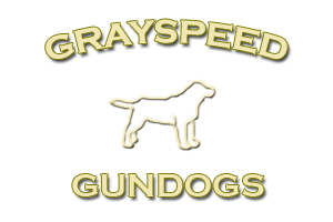 GraySpeed Gundogs